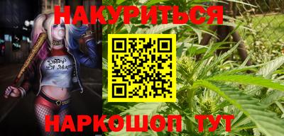Альфа ПВП Будённовск