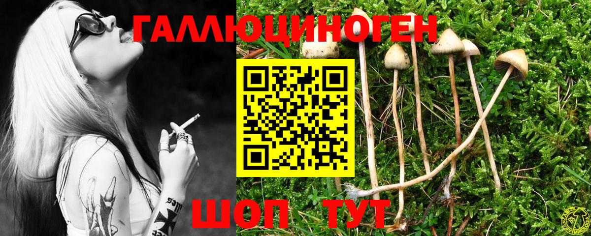 Галлюциногенные грибы ЛСД  наркошоп  Кызыл  Вход с VPN 