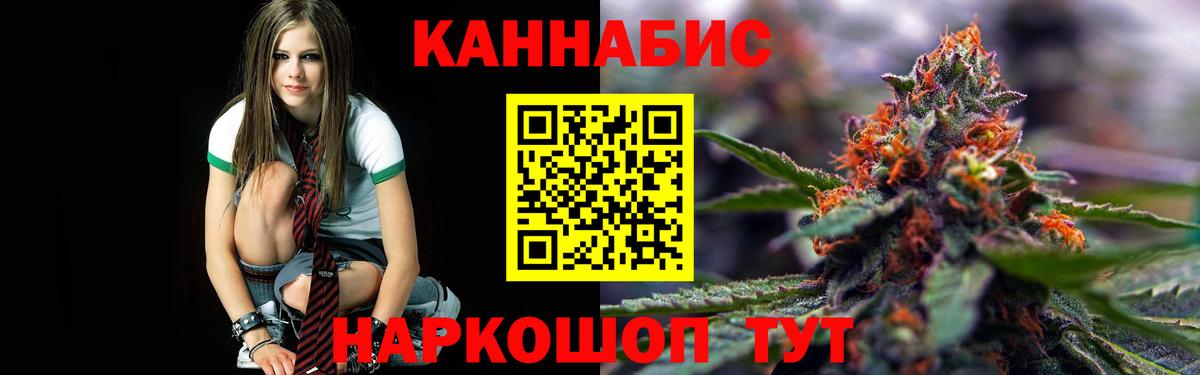 Шишки марихуана сатива Кызыл